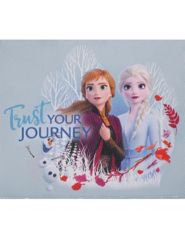 CARTERA EXTRAESCOLAR  FROZEN TRUST...