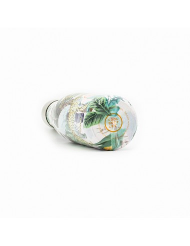 BOTELLA SOTENIBLE JUNGLE 500ML COOL...