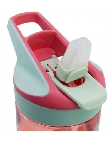 MINNIE BOTELLA ECOZEN PREMIUM 620 ML...