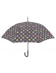 PARAGUAS TECHNOLOGY...