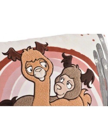 COJIN ALMOHADA AL Y CHIC PAKA