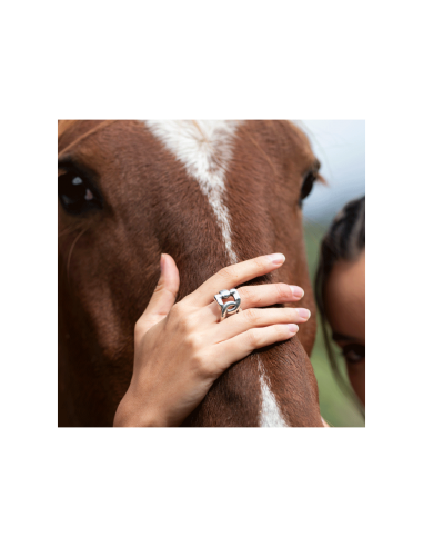 ANILLO CHARRO CICLON