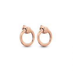 PENDIENTES BOCADO DORADO...