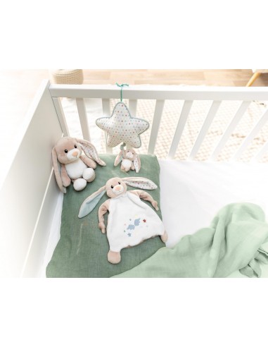 CONEJITO DE PELUCHE CON ACTIVIDADES...