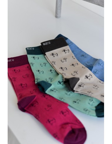 CALCETINES PERRITOS NOCO