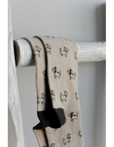 CALCETINES PERRITOS NOCO