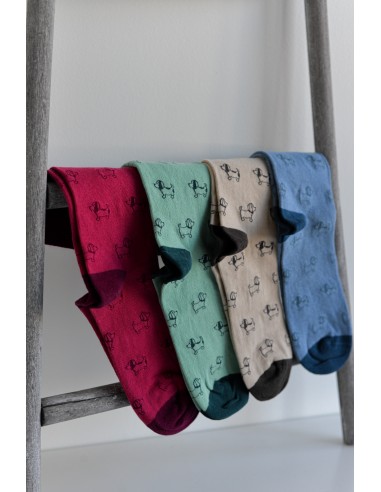 CALCETINES PERRITOS NOCO