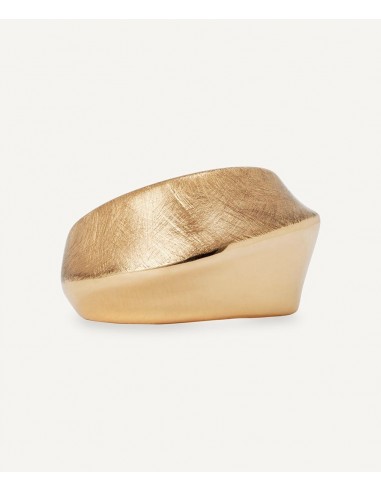 ANILLO VOLUMEN TEXTURA DUAL VIDAL &...