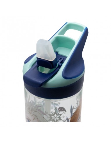 BOTELLA ECOZEN FROZEN PREMIUM 620 ML...